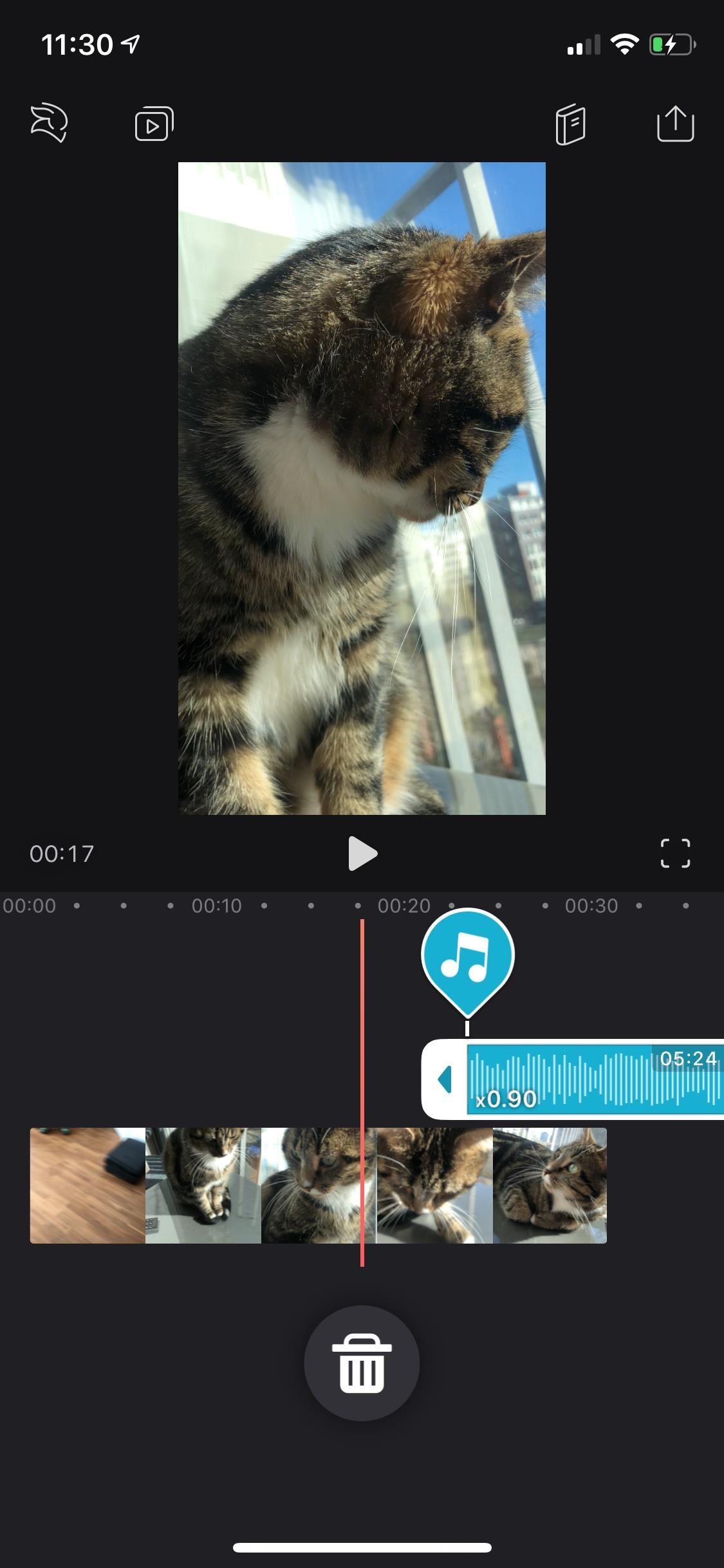 Everything You Need to Know About Adding & Editing Audio for Videos in Enlight Videoleap for iPhone