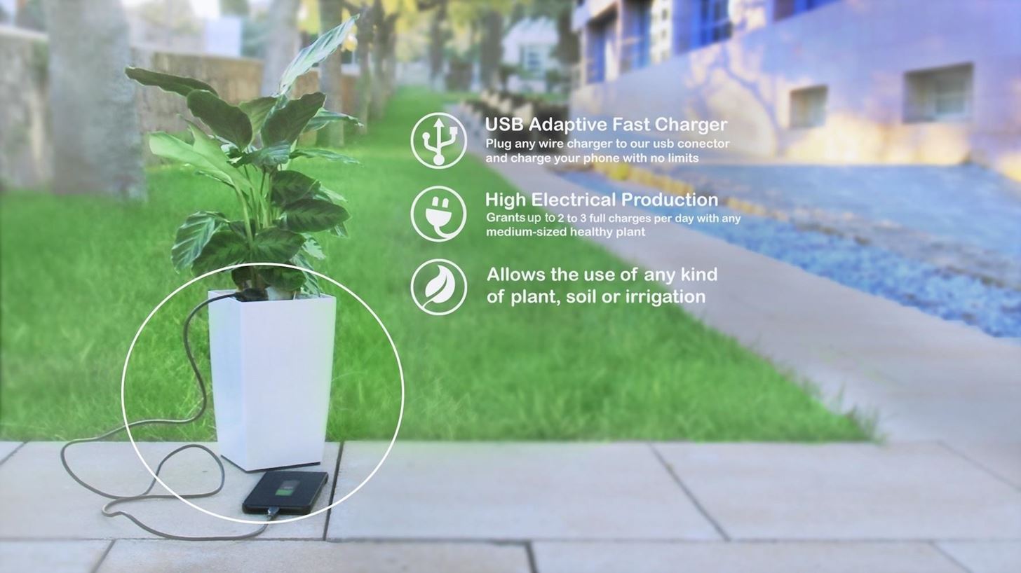 This High-Tech Pot Lets You Charge Your Phone Using a Houseplant