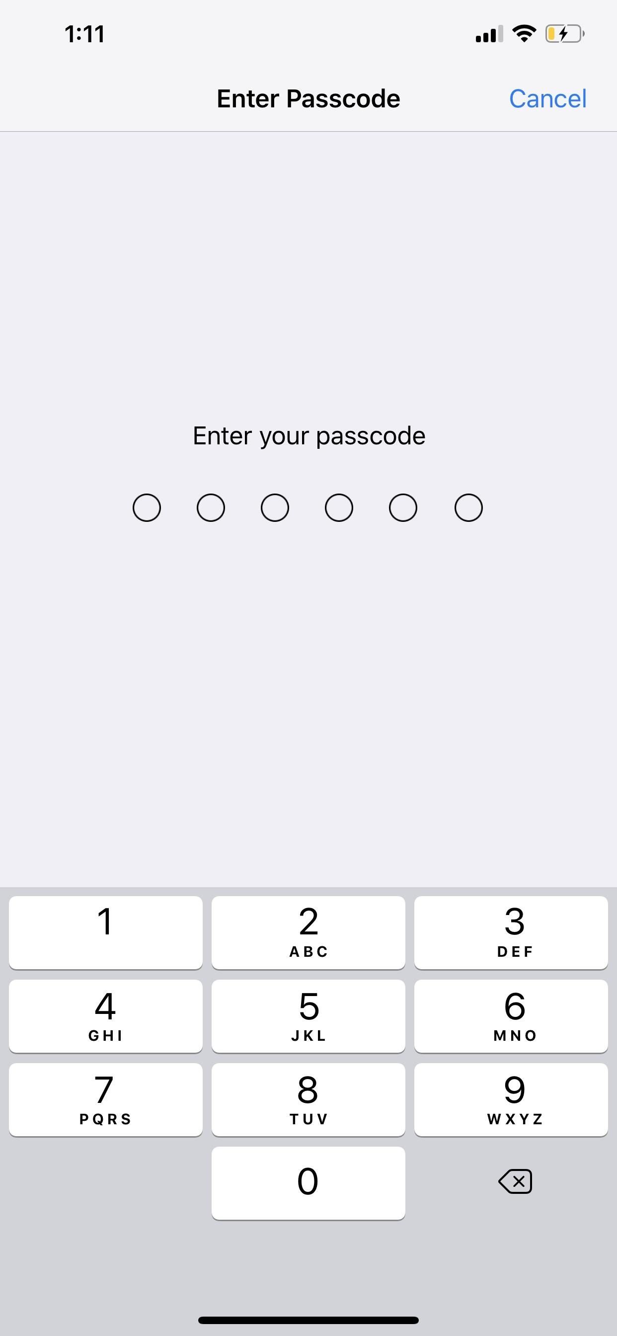 Apple iOS passcode screen