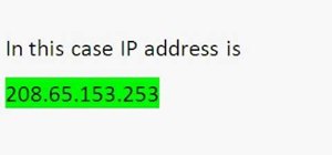 Find the IP address of a website