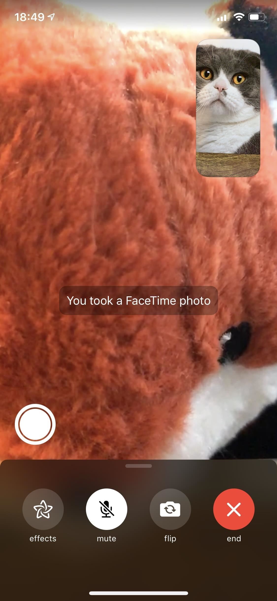 11 Tips for FaceTime Chatting with Friends & Family from Your iPhone