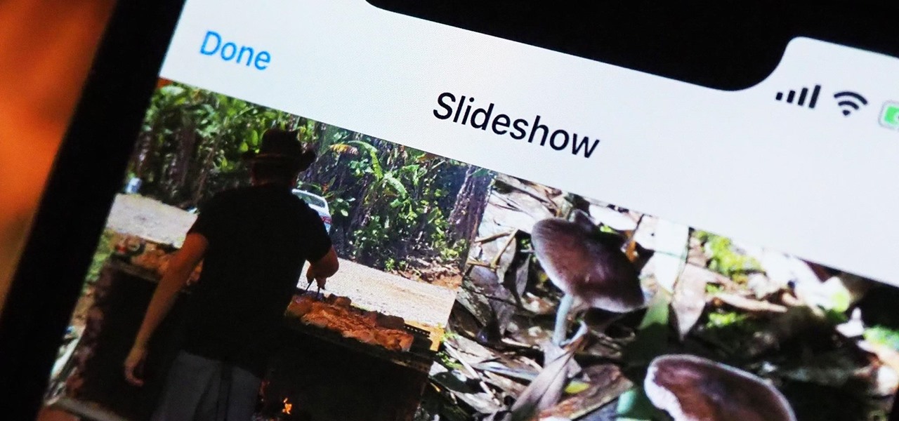 iOS 14 Makes It Easier to Turn Albums into Slideshows from the Photos App