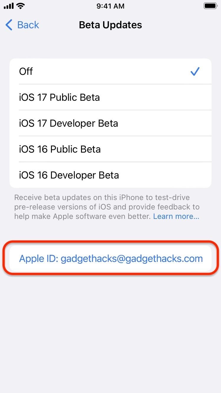 How to Download and Install iOS 17.2 Beta to Try New iPhone Features First