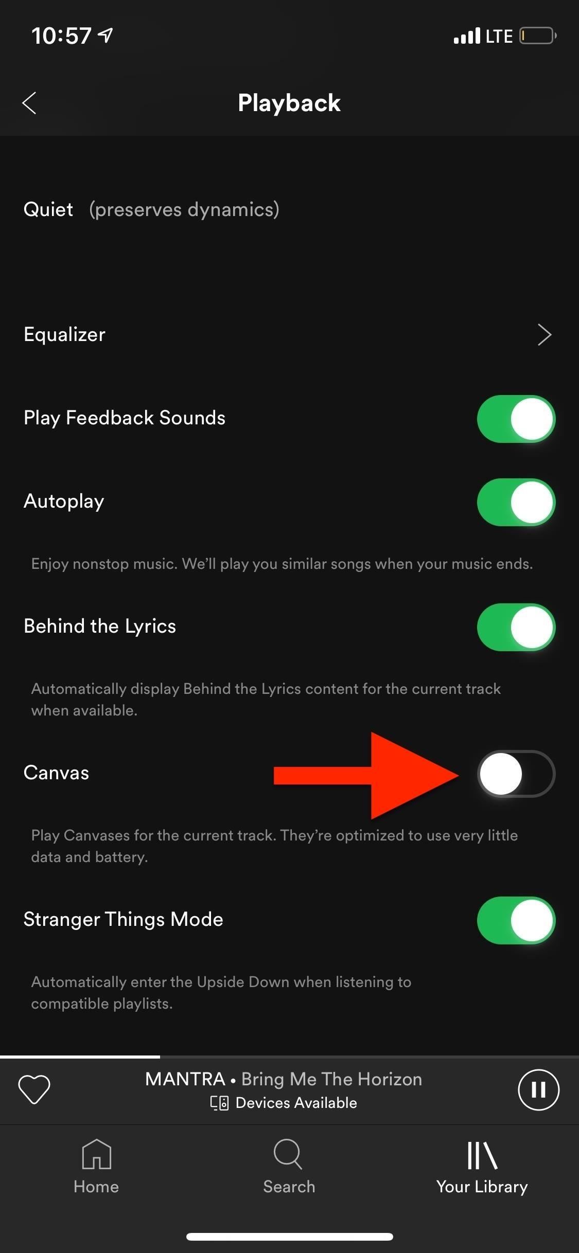 How to Disable Those Annoying Looping Videos When Playing Songs on Spotify