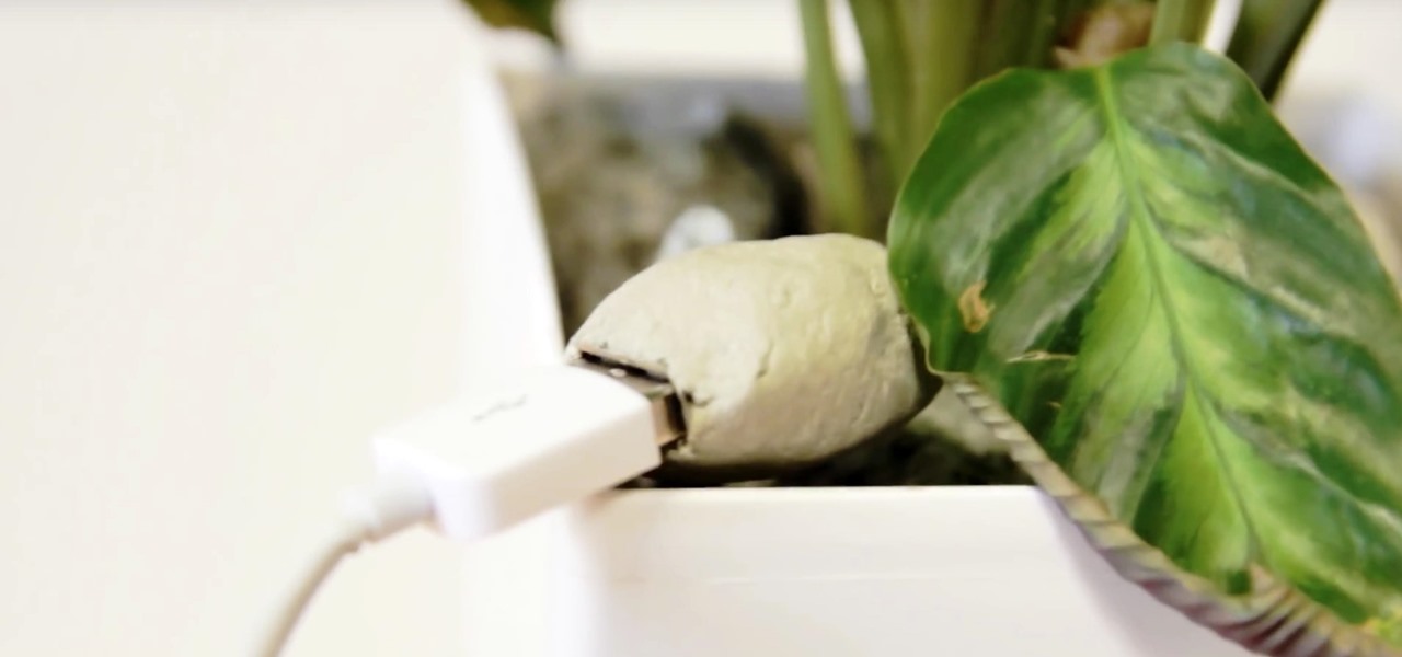 This High-Tech Pot Lets You Charge Your Phone Using a Houseplant « Tech  Pr0n :: Gadget Hacks