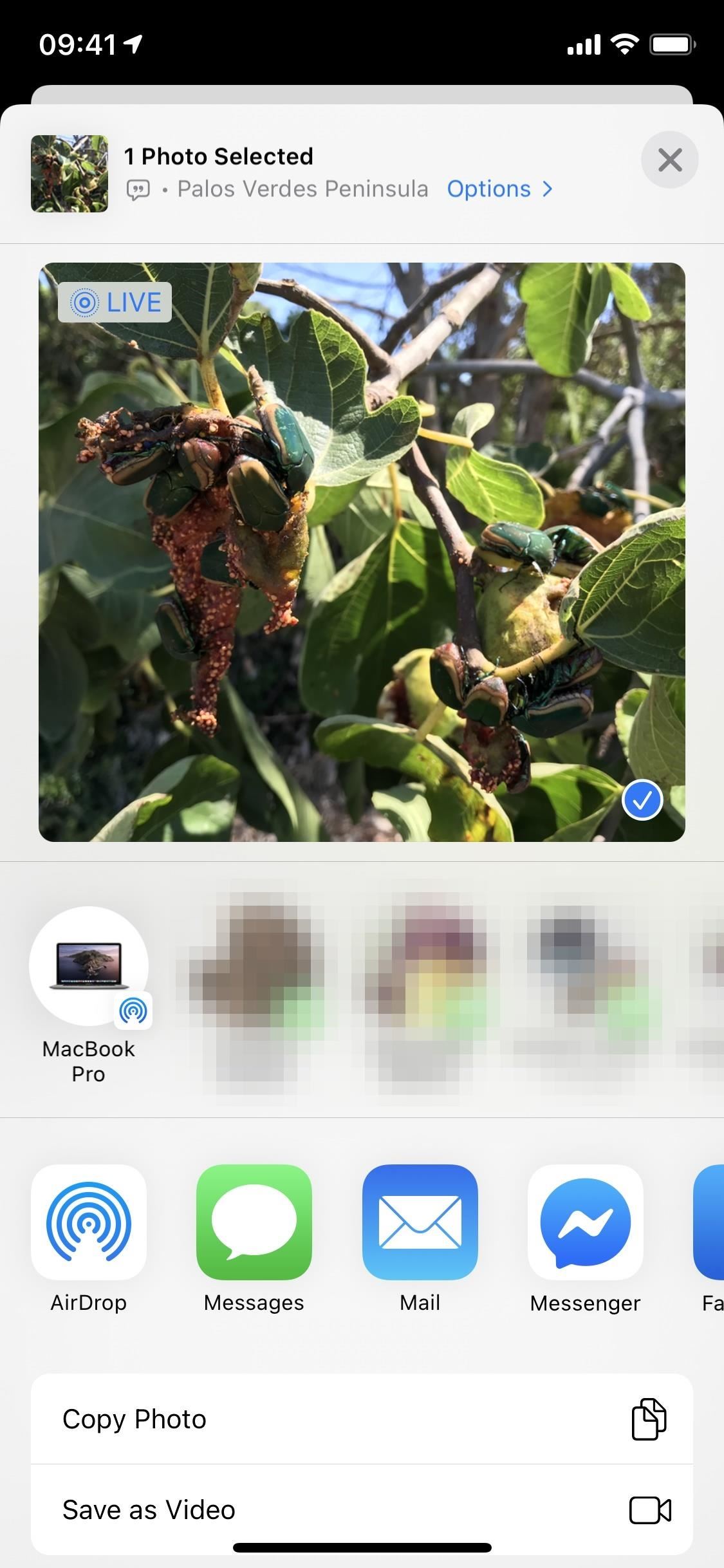 How to Add Captions to Photos & Videos in iOS 14 to Make Searching by Metadata Easier