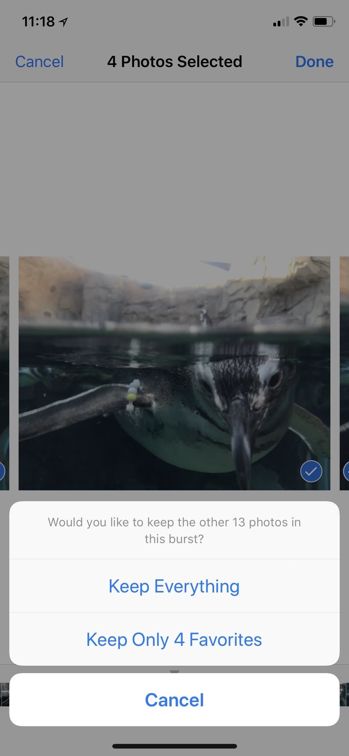 Apple Photos 101: How to View, Save & Edit Burst Shots on Your iPhone