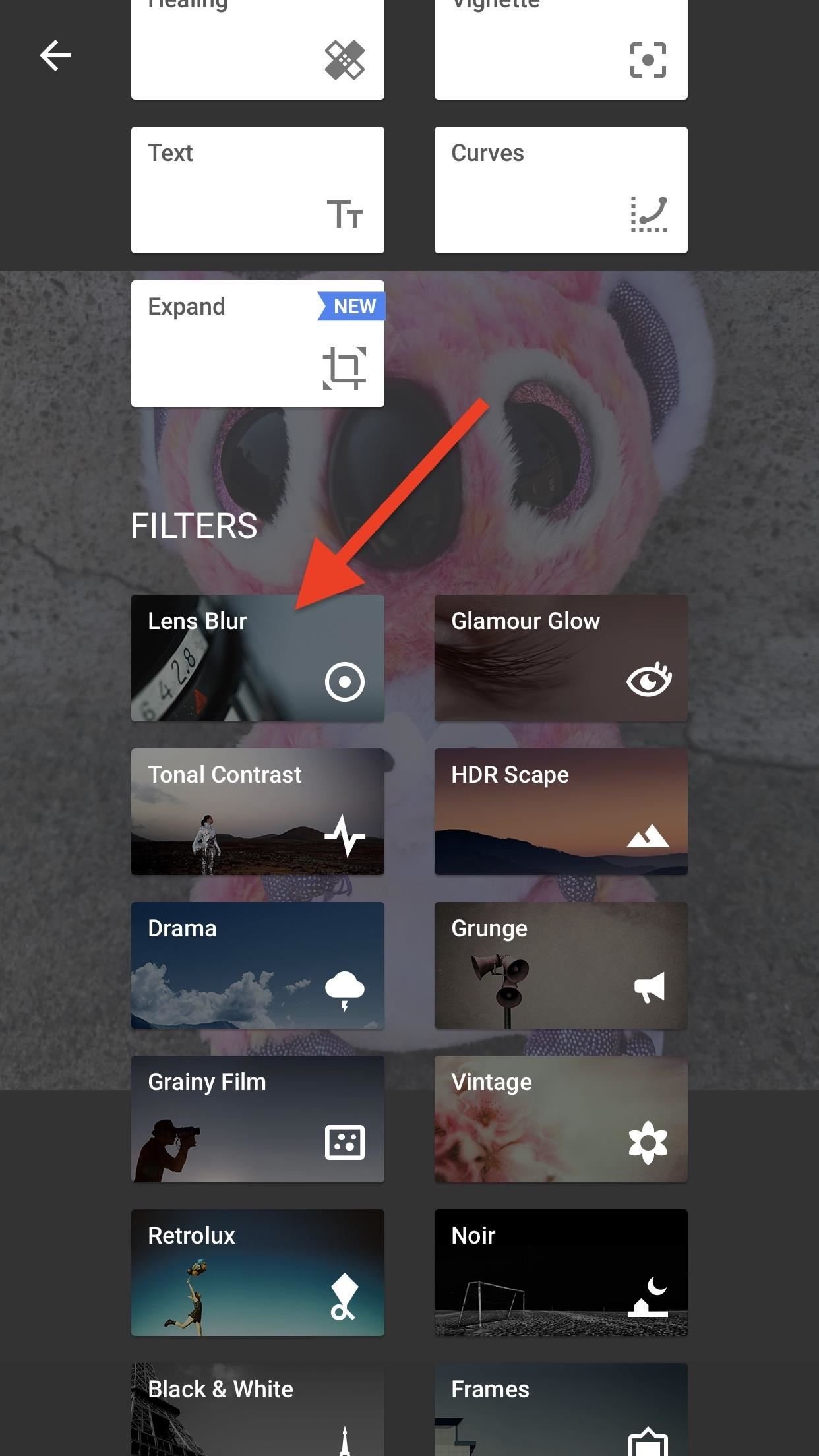 Snapseed 101: How to Blur NSFW Images to Share on Social Media