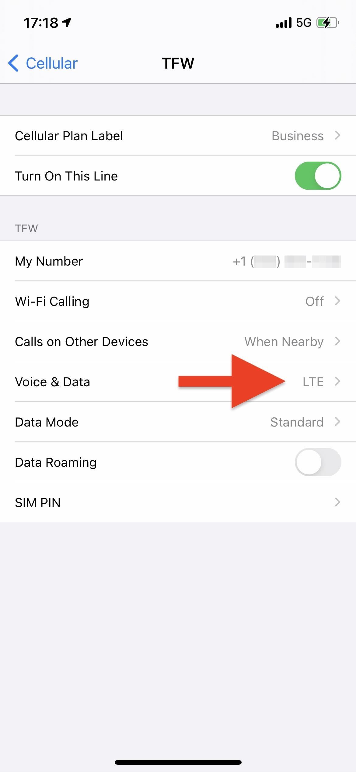 5G Data Won't Work on Your New iPhone 12 or 12 Pro Unless You Do This