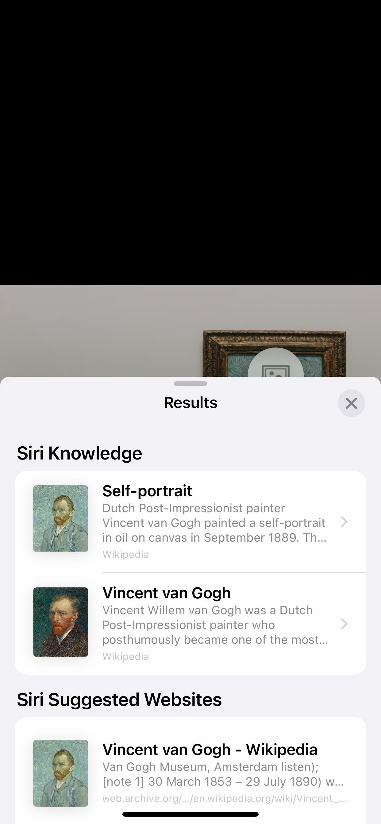 Your iPhone Can Scan Images to Identify and Show Information About Art, Insects, Landmarks, Plants, and More