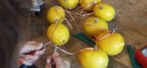 Make a battery from lemons