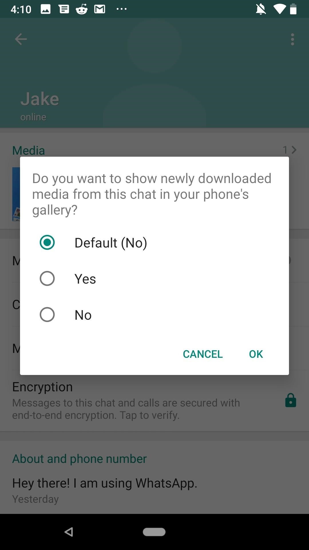 How to Hide WhatsApp Photos & Videos from Your Phone's Default Gallery