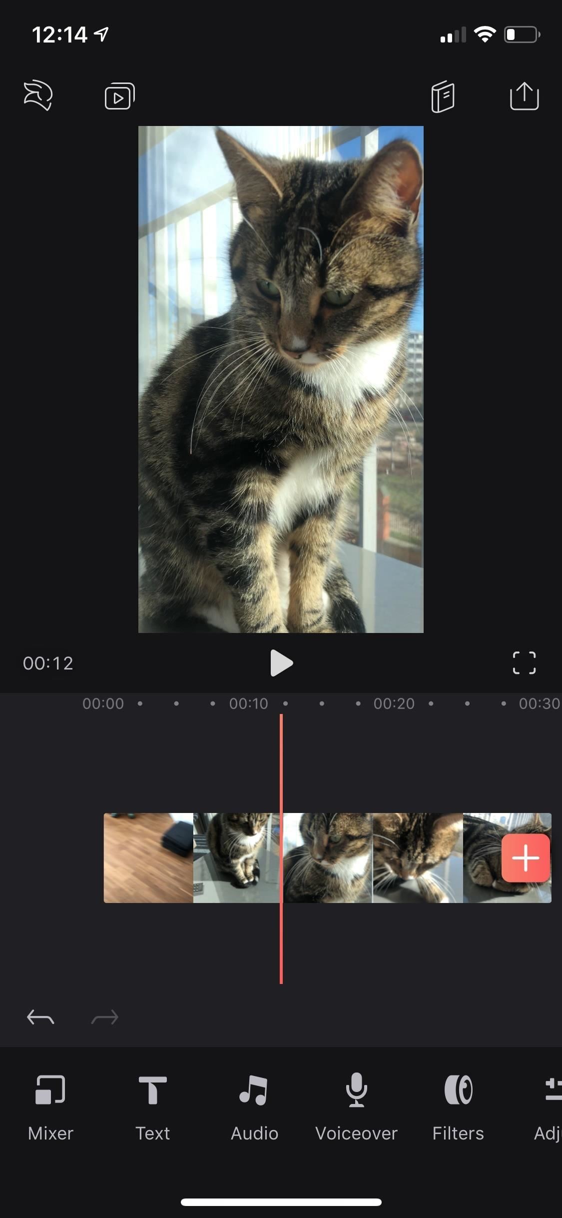 Everything You Need to Know About Adding & Editing Audio for Videos in Enlight Videoleap for iPhone