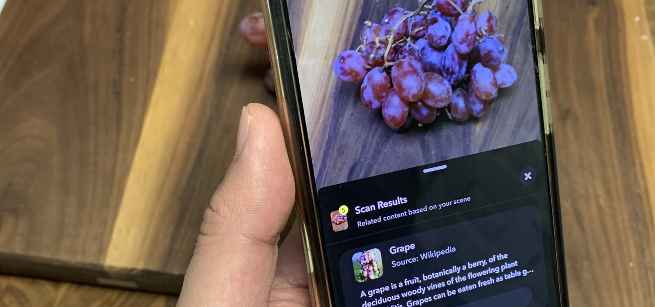 Scan Food with Snapchat to Discover New Recipes to Try Out