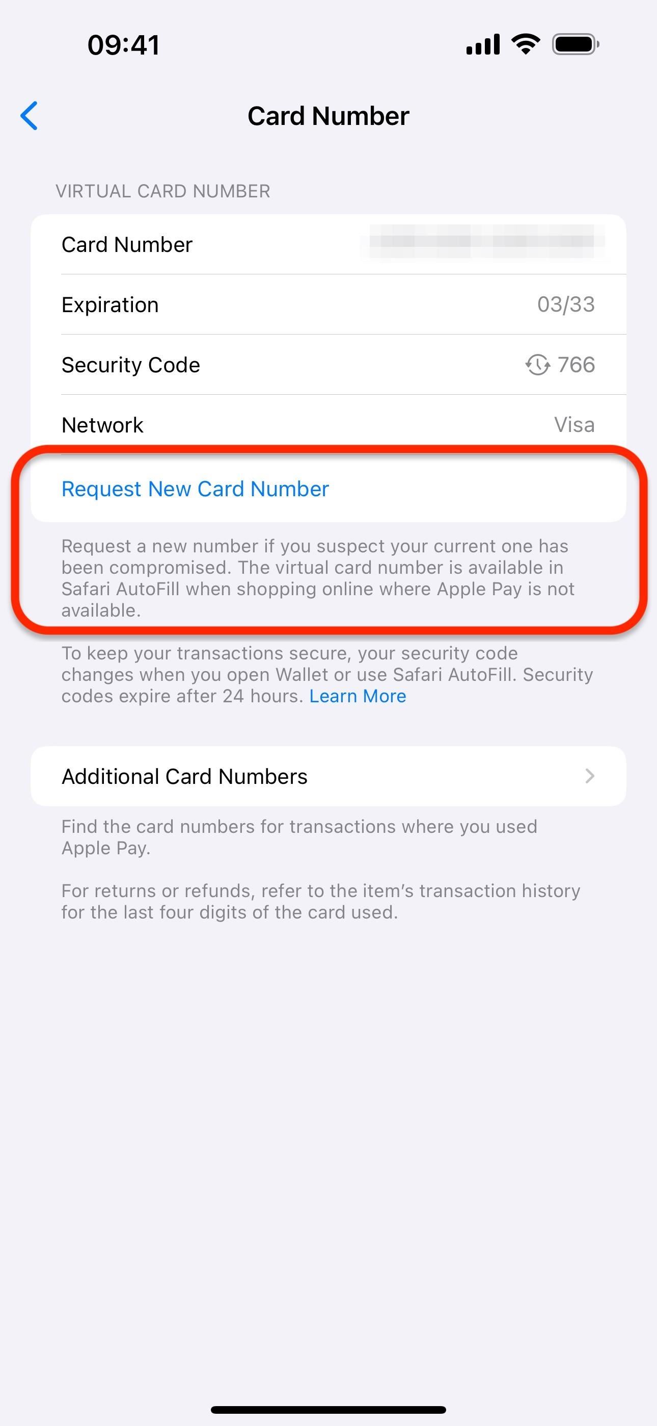 Set Up a Virtual Card Number for Apple Cash on Your iPhone to Use Where Apple Pay Isn't Accepted