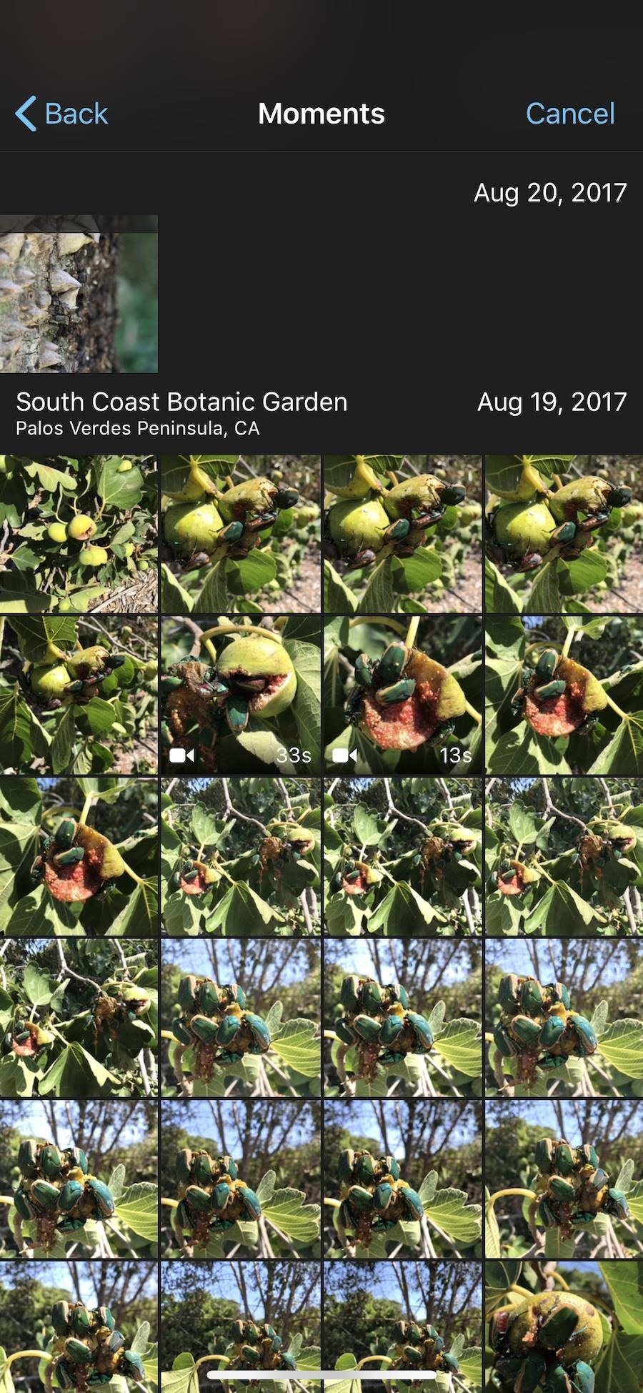 How to Add More Photos to iMovie Projects on Your iPhone