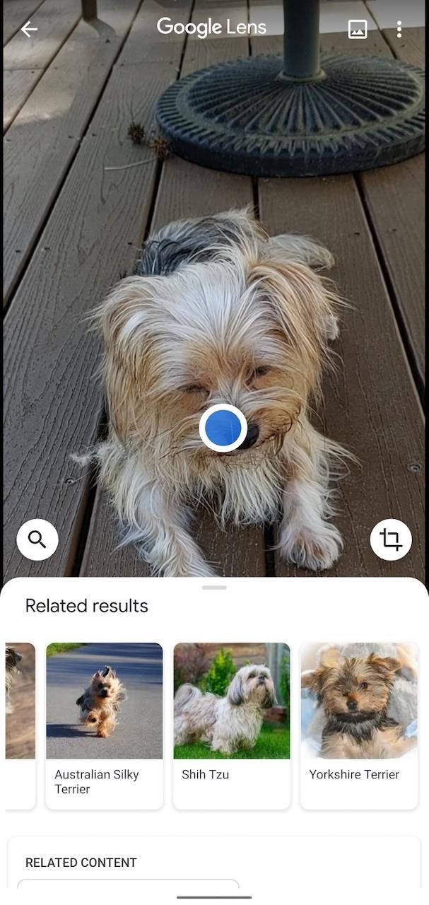 8 Ways Google Lens Can Help You Be More Productive