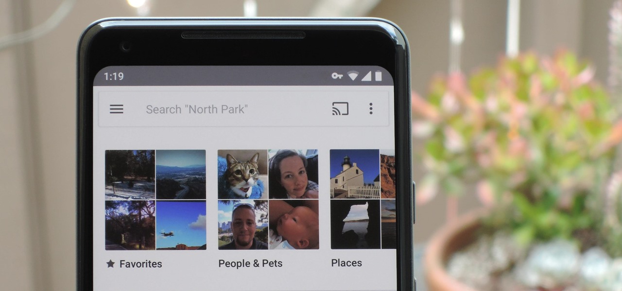 Make an Album of All Your Favorite Pictures in Google Photos