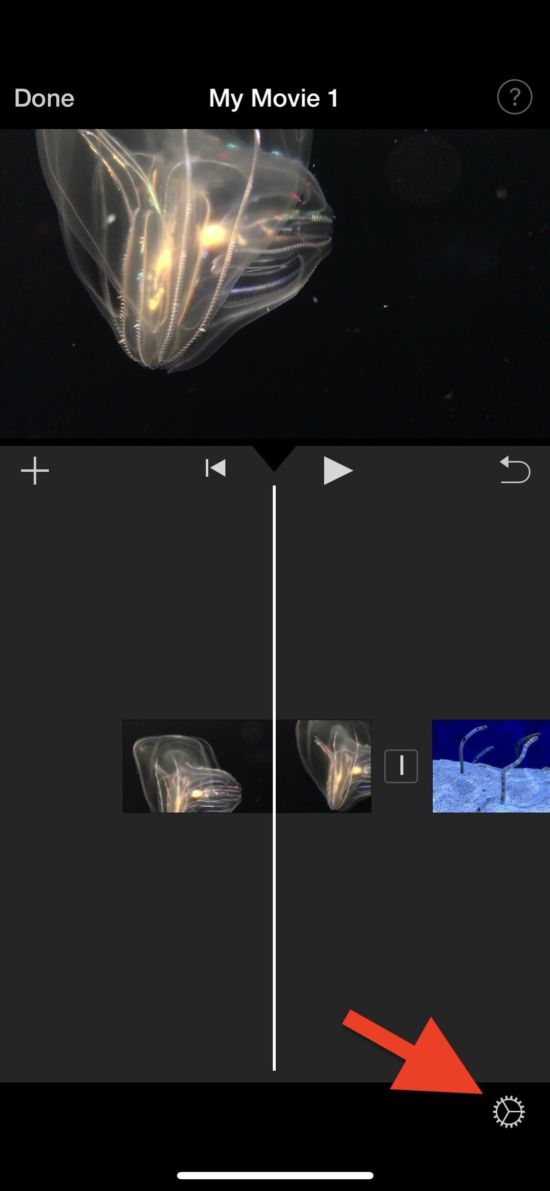How to Add Filters to Individual Video Clips or Your Whole Entire Project in iMovie for iPhone