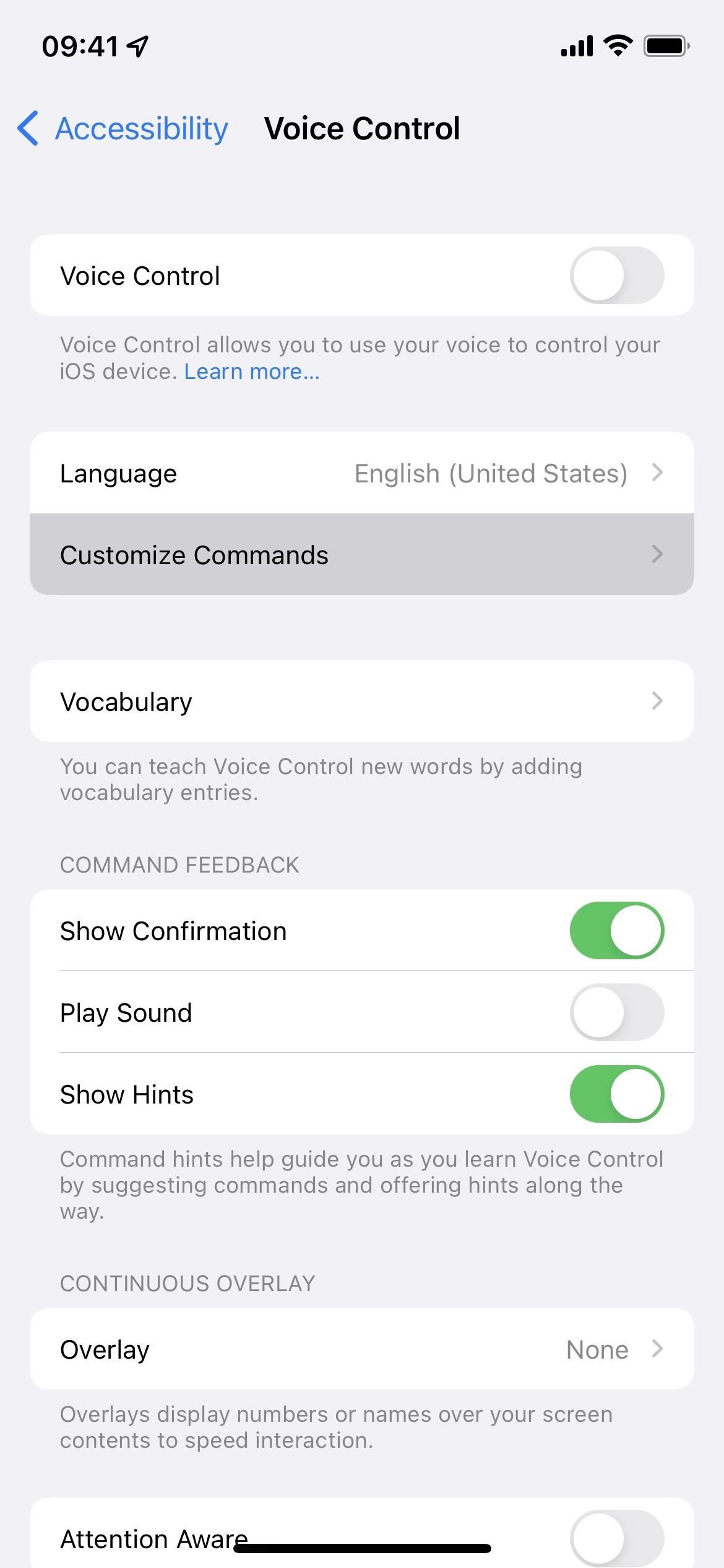 Scroll Through TikTok Hands-Free on Your iPhone or iPad Using Simple Voice Commands