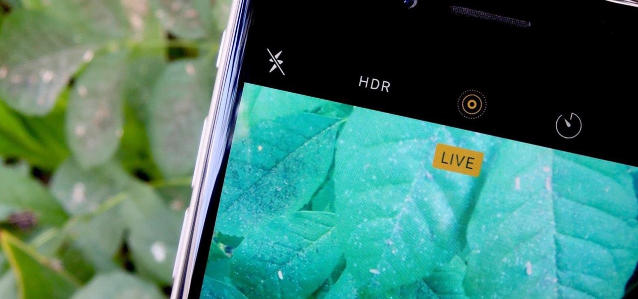 You Don't Need a New iPhone to Take Live Photos