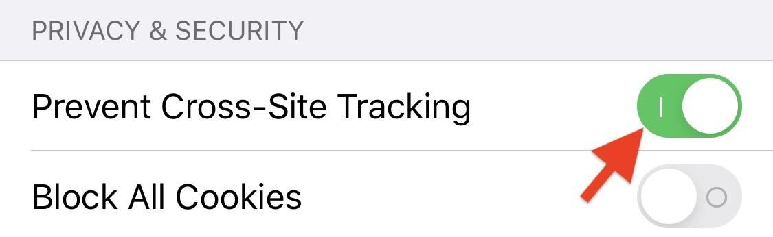 24 Safari Privacy Settings You Need to Check on Your iPhone