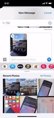 Don't Want to Share the 'Live' Part of a Live Photo from Your iPhone? Do This