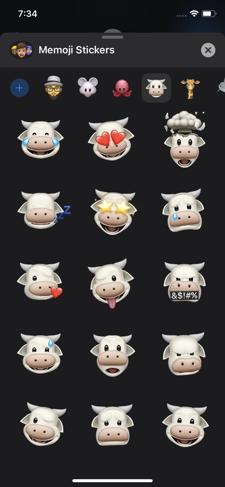 Memoji Stickers, Improved Search & More New Apple Messages Features in iOS 13 for iPhone