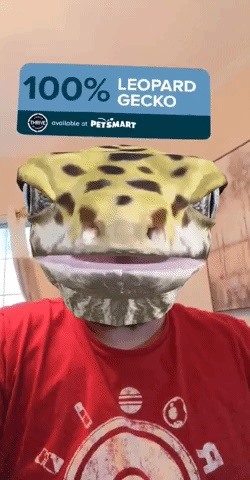 Morph into a Gecko & Learn About Reptiles with PetSmart's Snapchat AR Lens