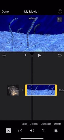 How to Add Filters to Individual Video Clips or Your Whole Entire Project in iMovie for iPhone