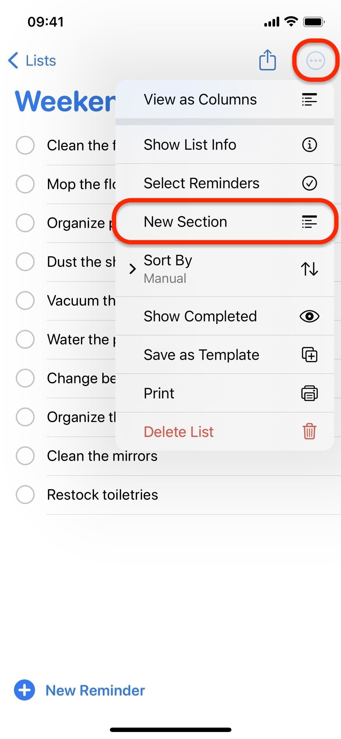 Organize Reminders by Sections and Columns on Your iPhone for More Efficient To-Do Lists