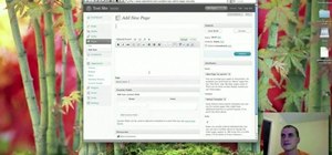 Add, edit, delete and publish pages on a WordPress blog or website