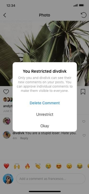 Coming Soon: Shadow Ban Haters & Bullies on Your Instagram Posts