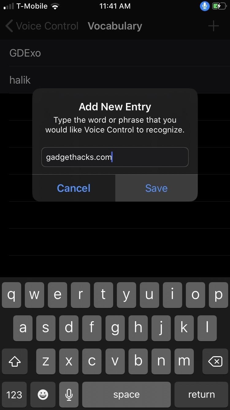 24 Voice Control Features in iOS 13 That Let You Use Your iPhone Totally Hands-Free