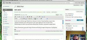 Insert and edit embedded media in the WordPress editor