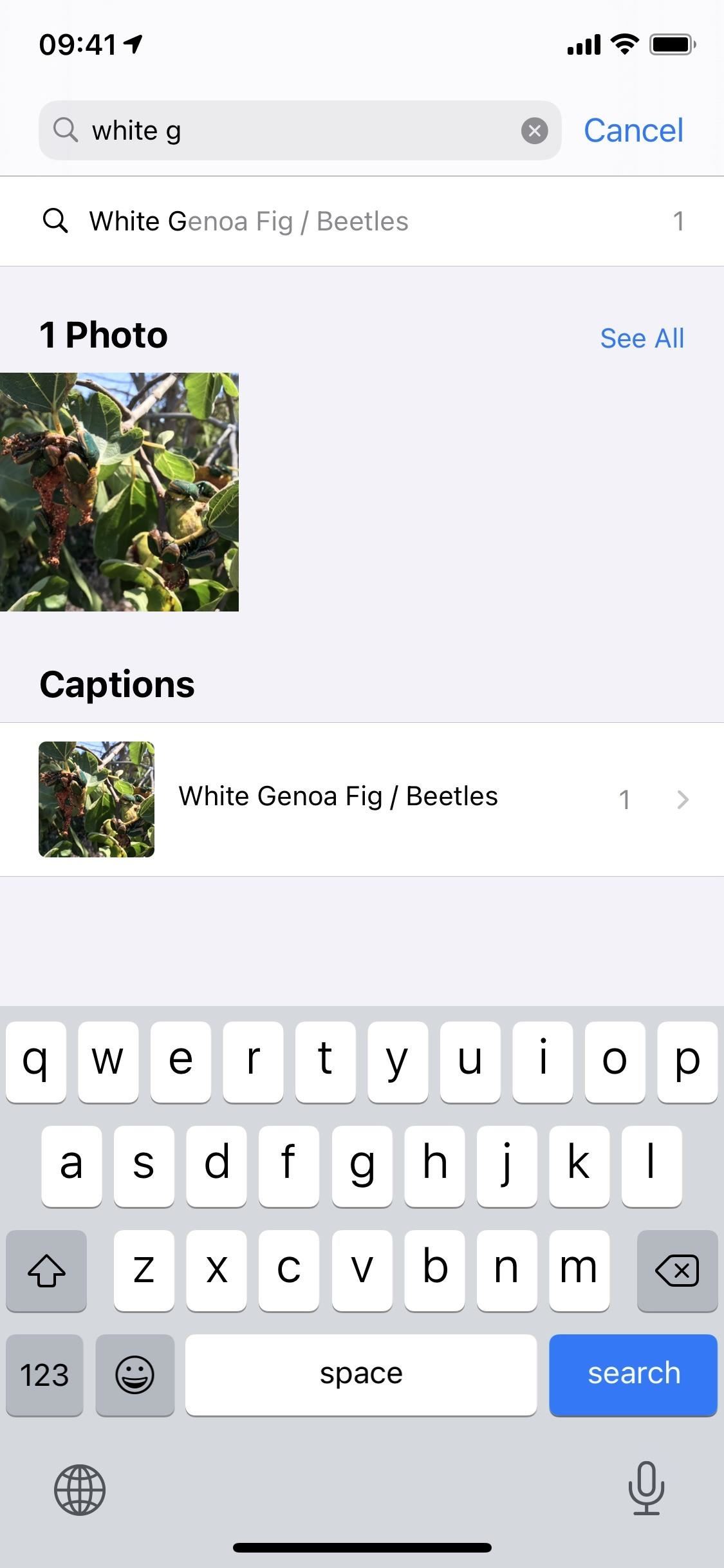 How to Add Captions to Photos & Videos in iOS 14 to Make Searching by Metadata Easier