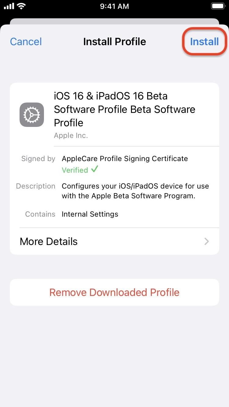 How to Download and Install iOS 17.5 Beta on Your iPhone — And Try New Features Before Everyone Else