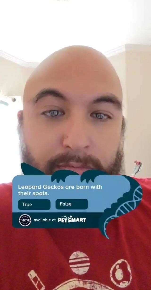 Morph into a Gecko & Learn About Reptiles with PetSmart's Snapchat AR Lens