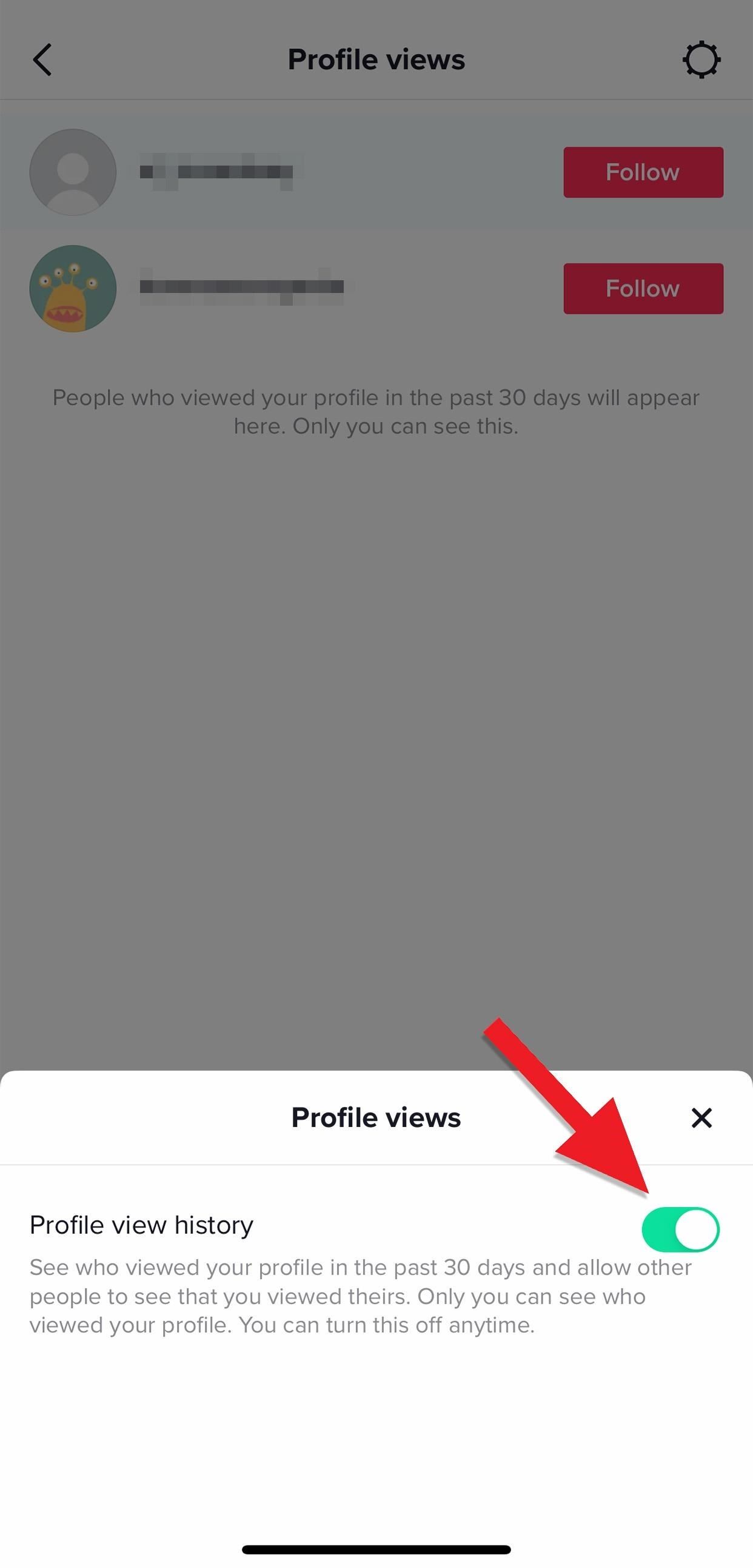 How to See Who's Viewed Your TikTok Profile (And How to Stop Them from Knowing You Visited Theirs)