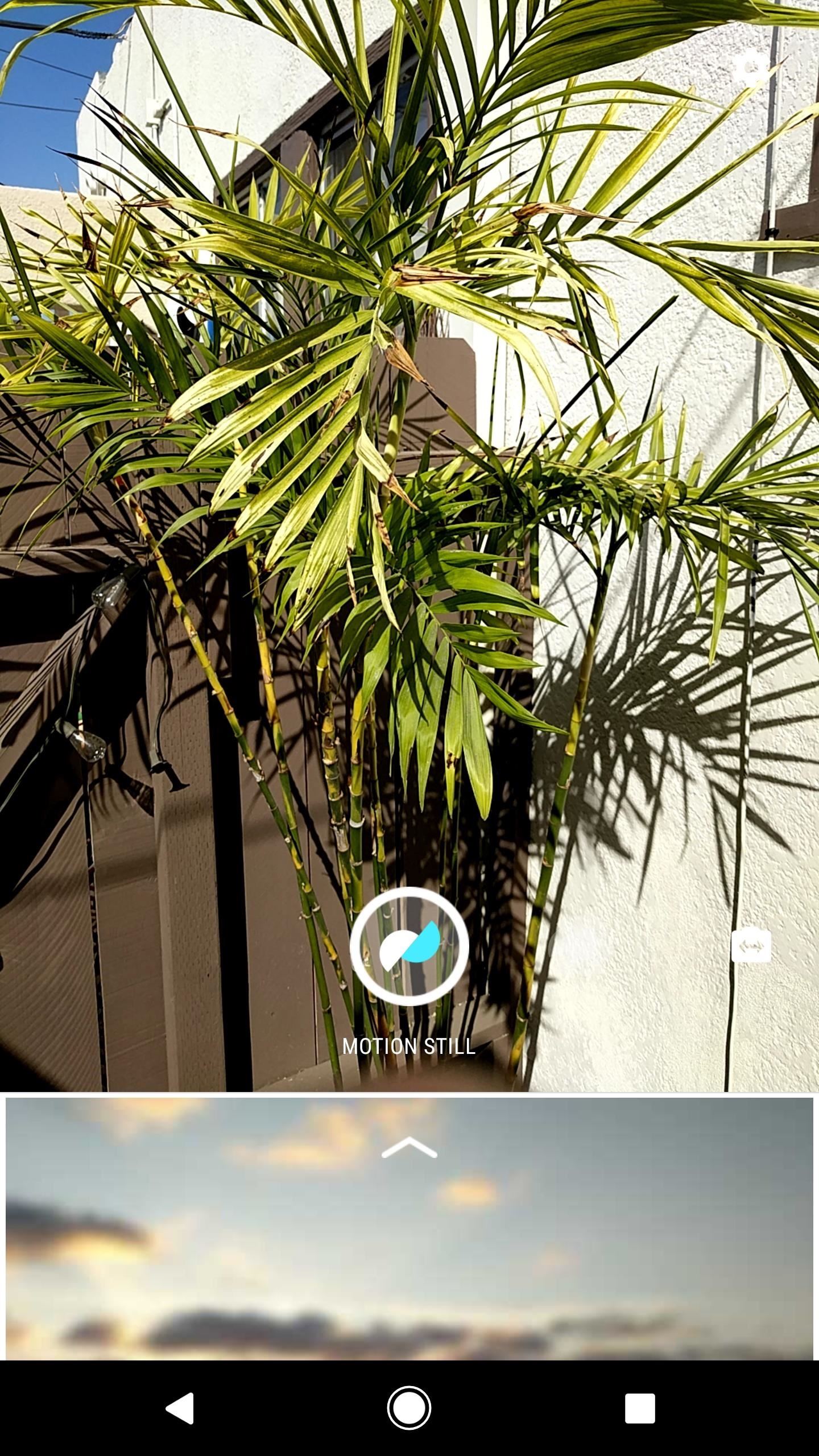Still Missing Live Photos on Your Android? Try These 3 Apps
