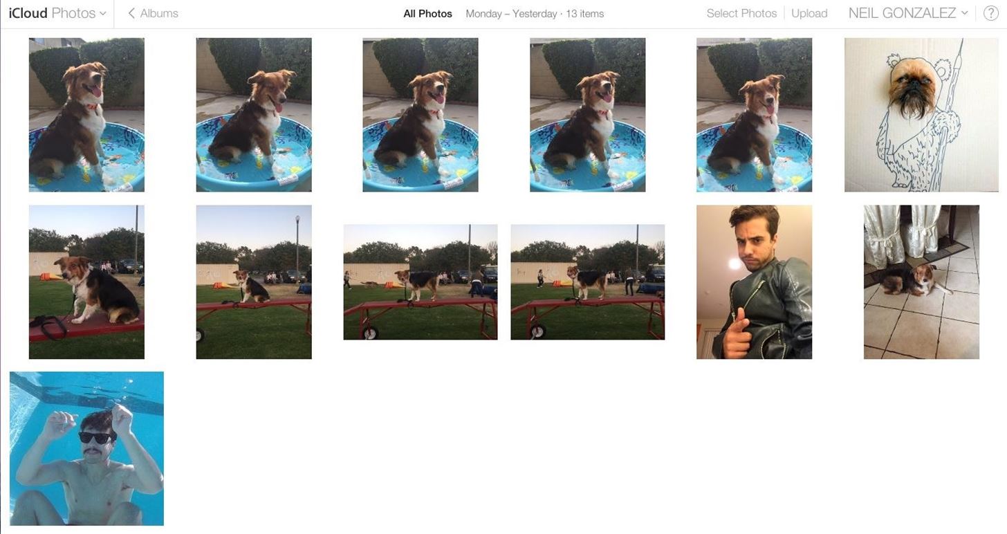 Google Photos: How to Transfer Pictures from Facebook, Dropbox, Instagram, Flickr, & More