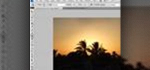 38 Top Images Photoshop Express App Clone Stamp : Adobe Photoshop Express Premium Apk 6.8.603 | Latest ...