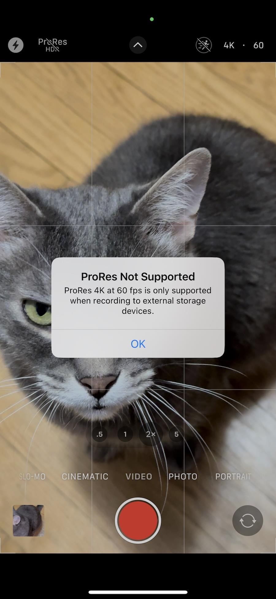 There Are 18 New Features Hiding in Your iPhone's Camera App on iOS 17