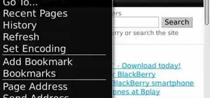 Erase temporary web files on a BlackBerry phone