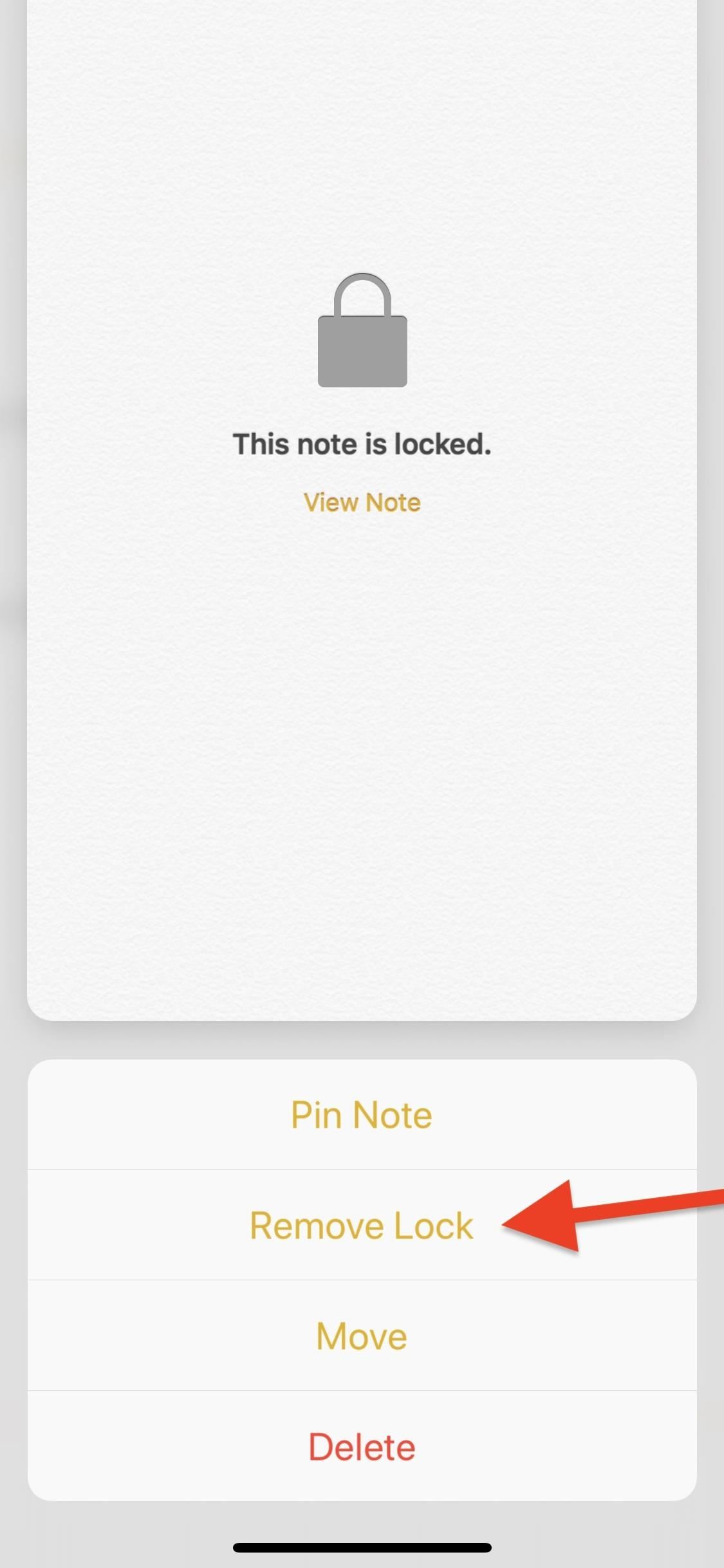 Notes 101: How to Lock Notes with Face ID or Touch ID (& Password Protection)