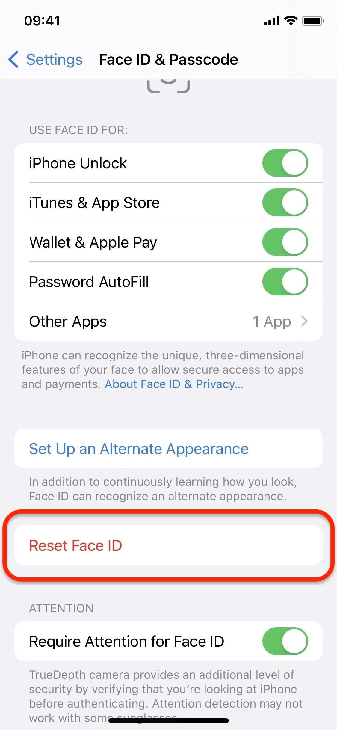 Can't Use Face ID in Landscape Orientation on Your iPhone? Use These 13 Tips to Get It Working Smoothly