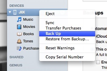 How to Extract & Back Up All Your Text Messages & Picture Messages from Your iPhone to Your Mac