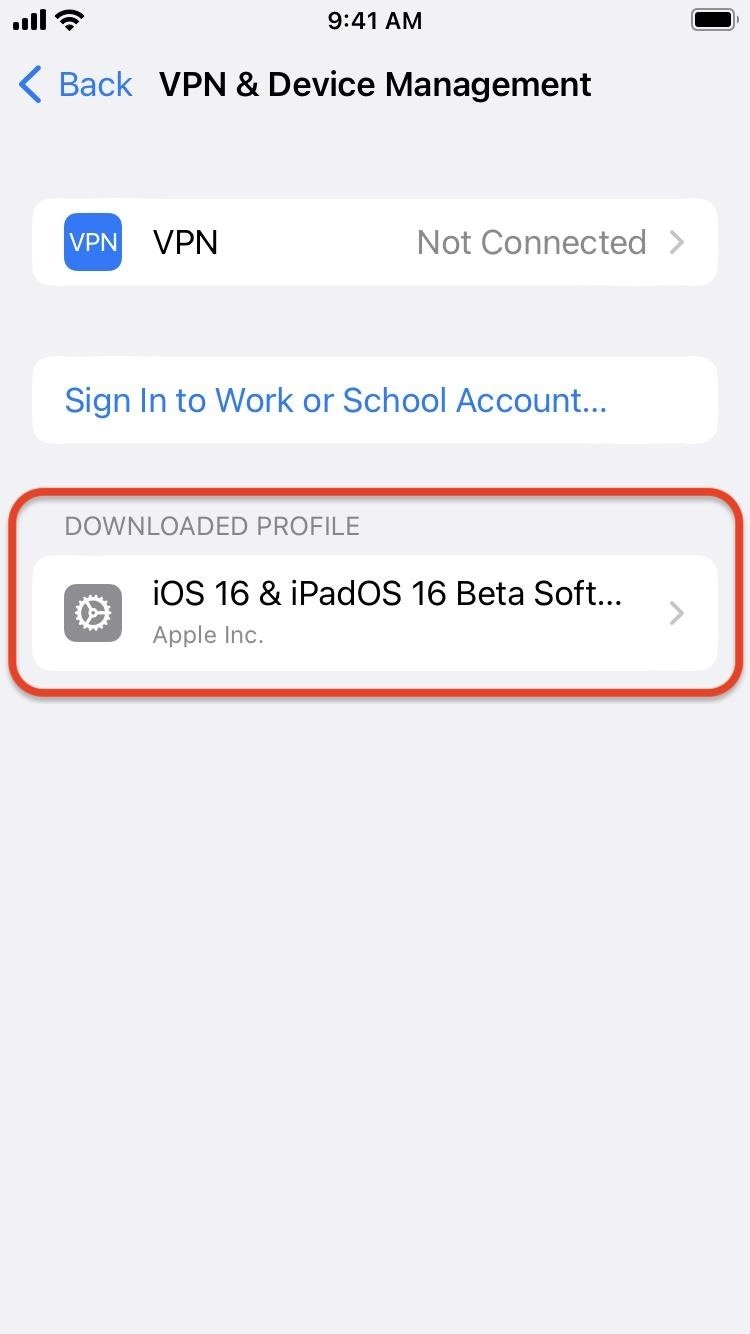 How to Download and Install iOS 17.4 Beta to Try New iPhone Features First