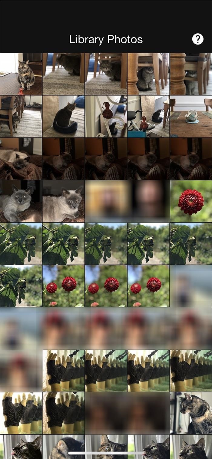 How to Add Better Lighting Effects to Portrait Mode Photos on Your iPhone