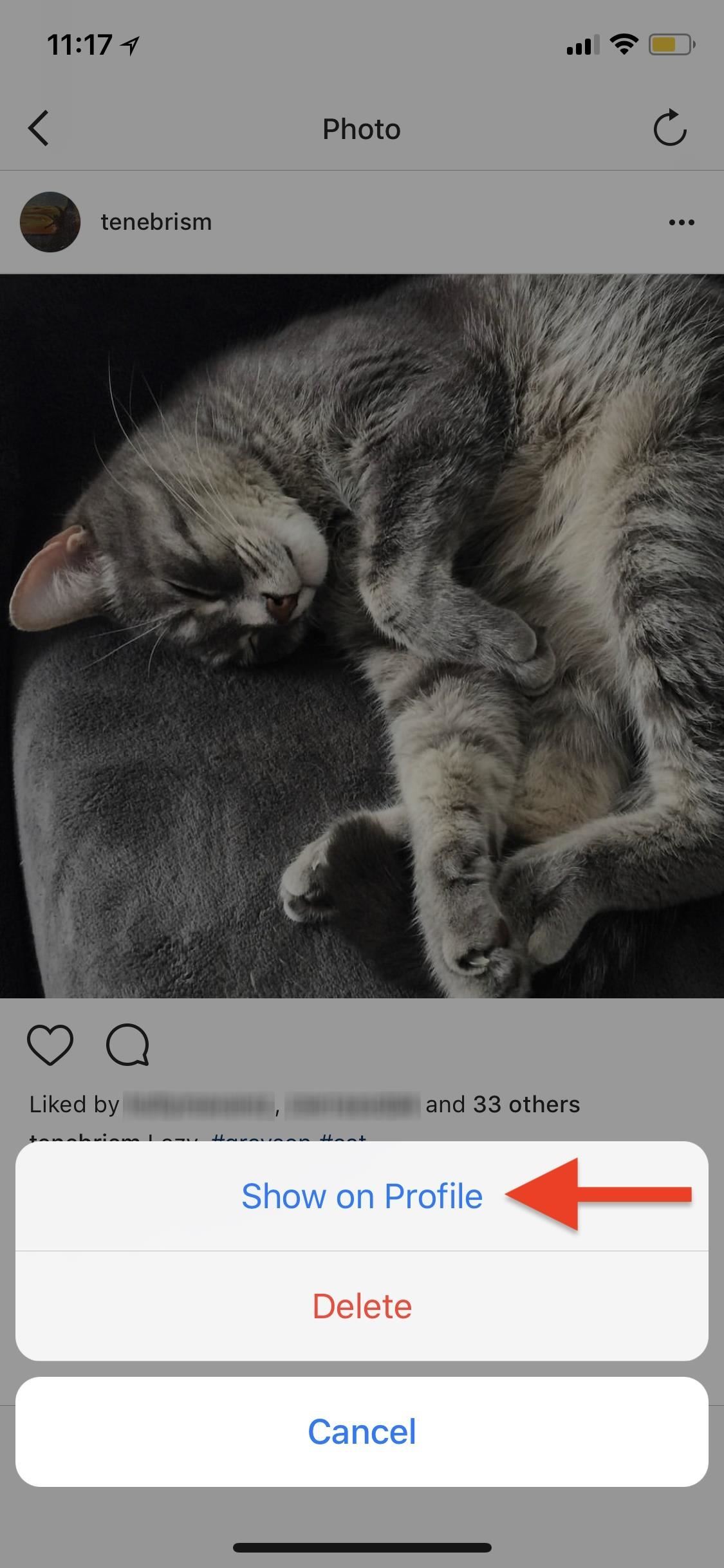 Instagram 101: How to Unarchive Posts to Make Them Visible to Other Users Again